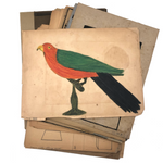 Clara Hall's Early 20th Century School Artwork Portfolio with Watercolors, Drawings, Design, More