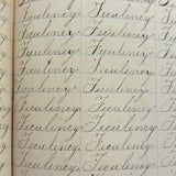 Valentine, Vermilion, Yearning, Yawning--John Brenneman's Very Nice 1874 Penmanship Notebook