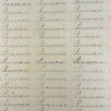 Valentine, Vermilion, Yearning, Yawning--John Brenneman's Very Nice 1874 Penmanship Notebook