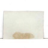 In Advance of an Inked Spider, Early 20th Century Fun-Making Paper Print Snapshot