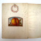 Treasure Trove of a 1879-80 Monticello, Iowa Drawing and Watercolor Book, with Loose Drawings Too