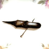 For Dropping Pins and Wiping Pens, Punny Victorian Hand-painted Trompe l'Oeil Dish
