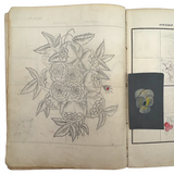 Treasure Trove of a 1879-80 Monticello, Iowa Drawing and Watercolor Book, with Loose Drawings Too