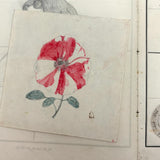 Treasure Trove of a 1879-80 Monticello, Iowa Drawing and Watercolor Book, with Loose Drawings Too