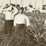 Men with Hats in Field with Palm Trees, Striking c. 1900 Silver Print on Thin Paper