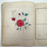 Treasure Trove of a 1879-80 Monticello, Iowa Drawing and Watercolor Book, with Loose Drawings Too