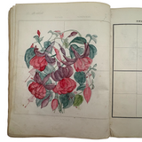 Treasure Trove of a 1879-80 Monticello, Iowa Drawing and Watercolor Book, with Loose Drawings Too
