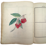 Treasure Trove of a 1879-80 Monticello, Iowa Drawing and Watercolor Book, with Loose Drawings Too