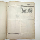 Treasure Trove of a 1879-80 Monticello, Iowa Drawing and Watercolor Book, with Loose Drawings Too