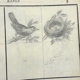 Treasure Trove of a 1879-80 Monticello, Iowa Drawing and Watercolor Book, with Loose Drawings Too