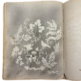 Treasure Trove of a 1879-80 Monticello, Iowa Drawing and Watercolor Book, with Loose Drawings Too