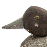 Golden Eye Female, Folk Art Working Decoy with Great Surface, North Shore, MA