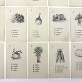 The Illustrated French Game, Very Scarce and Lovely Rummy Type Antique French Vocabulary Game