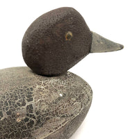 Golden Eye Female, Folk Art Working Decoy with Great Surface, North Shore, MA