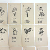 The Illustrated French Game, Very Scarce and Lovely Rummy Type Antique French Vocabulary Game