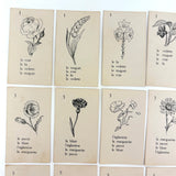 The Illustrated French Game, Very Scarce and Lovely Rummy Type Antique French Vocabulary Game