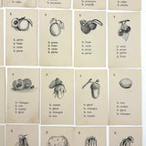 The Illustrated French Game, Very Scarce and Lovely Rummy Type Antique French Vocabulary Game