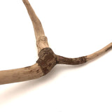 Graceful, Gestural Whittled Form/Figure