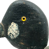 Golden Eye Male, Folk Art Working Decoy with Great Color, North Shore, MA
