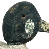 Golden Eye Male, Folk Art Working Decoy with Great Color, North Shore, MA