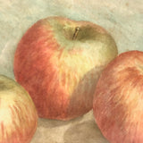 Lovely Antique Watercolor of Three Apples in Great Frame