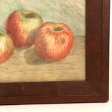 Lovely Antique Watercolor of Three Apples in Great Frame