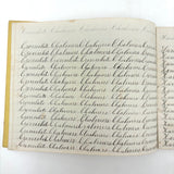 Written with a Strong Hand, 19th Century Penmanship Notebook with Many Good Combinations
