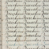 Written with a Strong Hand, 19th Century Penmanship Notebook with Many Good Combinations