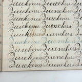 Written with a Strong Hand, 19th Century Penmanship Notebook with Many Good Combinations