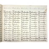 Written with a Strong Hand, 19th Century Penmanship Notebook with Many Good Combinations