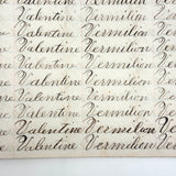 Written with a Strong Hand, 19th Century Penmanship Notebook with Many Good Combinations