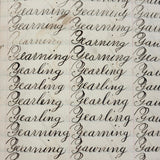 Written with a Strong Hand, 19th Century Penmanship Notebook with Many Good Combinations