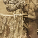 Box with Key and Handsome Hen, Sweet c. 1940s Snapshot, Framed As Found