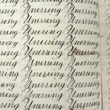 Written with a Strong Hand, 19th Century Penmanship Notebook with Many Good Combinations