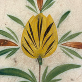 Yellow Tulip, Lovely 19th Century  French "Cul Noir" Spatterware Faience Plate