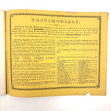 Written with a Strong Hand, 19th Century Penmanship Notebook with Many Good Combinations