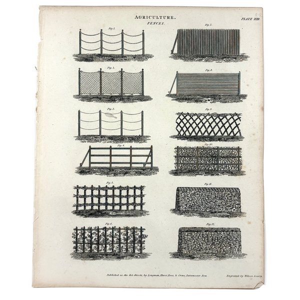 Fences (Agriculture), Striking and Poignant c. 1820 Engraving, Abraham Rees, London