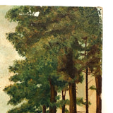 Bank of Trees with View of Water and Mountains, Oil on Canvas Board