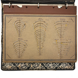 Feick Bros. CO. Pittsburgh Surgical Needles Salesman Samples Book