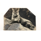 Trimmed and Partially Hand-colored 1912 Press Photo of Puma