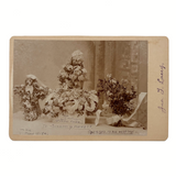 Mourning Flowers for Joseph G. Pickett, Aged 16 Years, 10 Mos, 25 Days, 1896 Albumen Cabinet Card