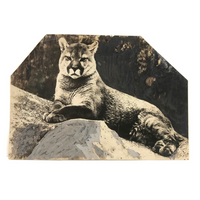 Trimmed and Partially Hand-colored 1912 Press Photo of Puma
