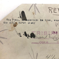 Trimmed and Partially Hand-colored 1912 Press Photo of Puma