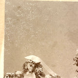 Mourning Flowers for Joseph G. Pickett, Aged 16 Years, 10 Mos, 25 Days, 1896 Albumen Cabinet Card