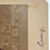 Mourning Flowers for Joseph G. Pickett, Aged 16 Years, 10 Mos, 25 Days, 1896 Albumen Cabinet Card