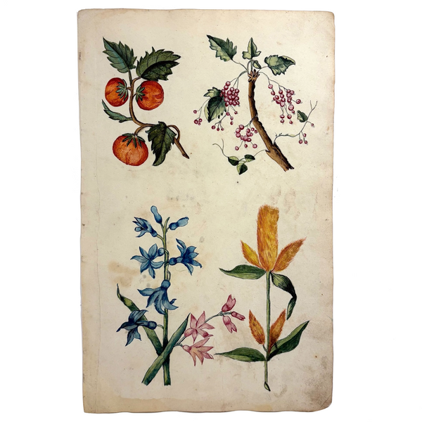 Lush and Lovely c. 1750 Four Vignette Dutch Watercolor on Watermarked Wove