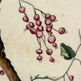Lush and Lovely c. 1750 Four Vignette Dutch Watercolor on Watermarked Wove