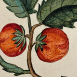 Lush and Lovely c. 1750 Four Vignette Dutch Watercolor on Watermarked Wove