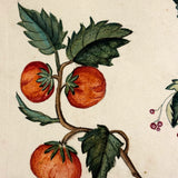 Lush and Lovely c. 1750 Four Vignette Dutch Watercolor on Watermarked Wove