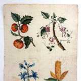 Lush and Lovely c. 1750 Four Vignette Dutch Watercolor on Watermarked Wove